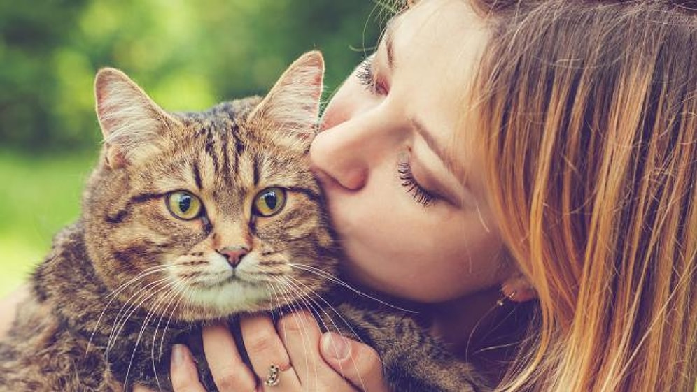 Dünyanın En İyi İşlerinden Biri: Yapacağınız Tek Şey, Tüm Sevginizle Kedileri Okşayıp, Kucaklamak!