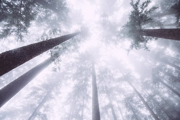 15. "Все, в том числе и ложь, служит истине. Тени не гасят солнца"