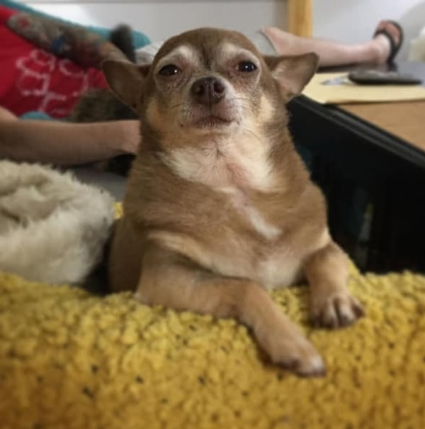 5. Когда вам хочется чихнуть, но вы знаете, что это слишком рисково