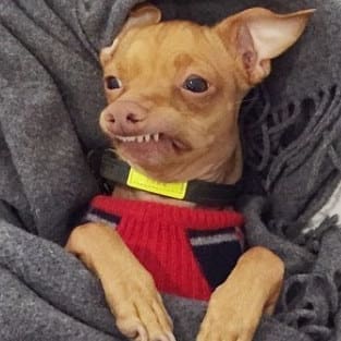 24. Когда вы думаете, что все кончилось, и тогда...