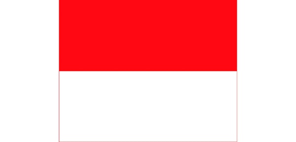 9. А здесь флаг?