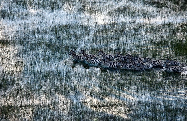 3. Она прекрасна