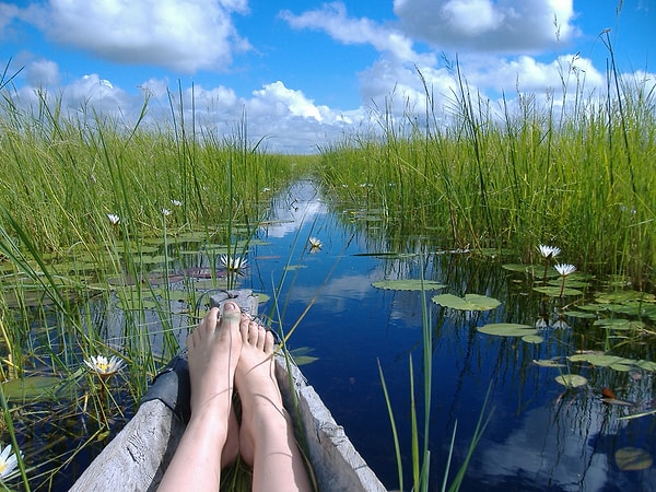 14. Это материк контрастов. Например, в Ботсване много воды