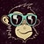 kulmonkey