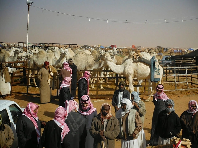 Riyad'da her gün 100'ün üzerinde deve alınıp satılıyor.
