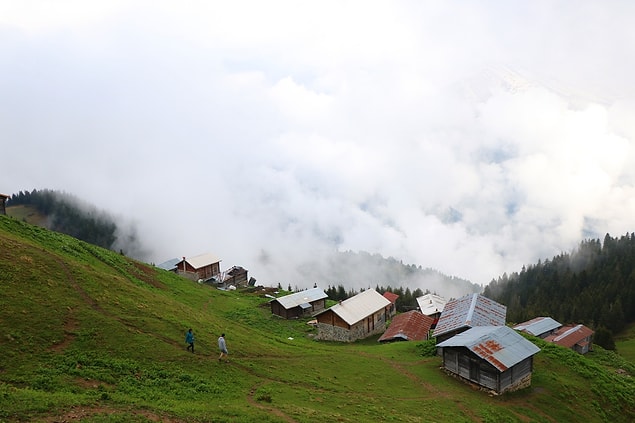 Rize Sal Yaylası