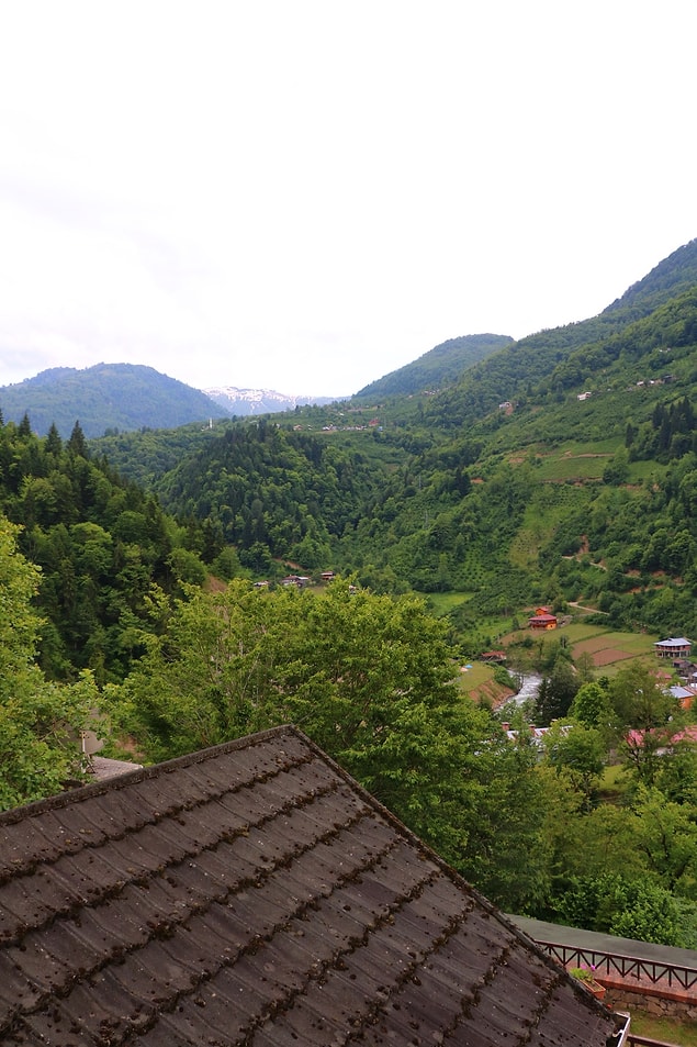 Artvin Macahel