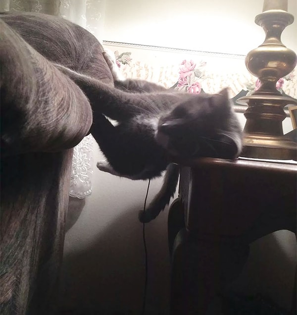 6. Готовимся к невесомости