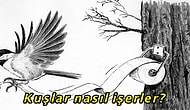 Tek Tek Cevap Veriyoruz: Bilimin İmdadınıza Yetiştiği 9 Tuhaf Soru