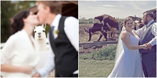 16 неудавшихся свадебных фото, которые точно заставят вас смеяться