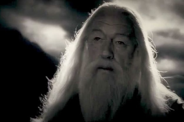 1. Кто является собеседником Дамблдора в этот момент?