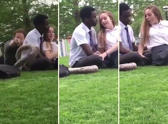 Oyuncak Yılanla İnsanların Aklını Başından Alan Ruh Hastası Adam