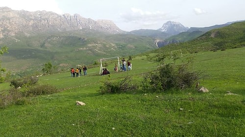 İçinizi Güneş Gibi Isıtarak Haftanızın Harika Geçmesini Sağlayacak 14 Paylaşım