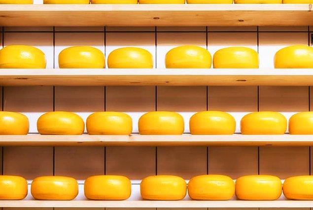 9. Peynir üretilirken tekerlekler kullanılıyor çünkü peynirler sıkı ve yuvarlak biçimdeyken daha uzun süre dayanıyor.
