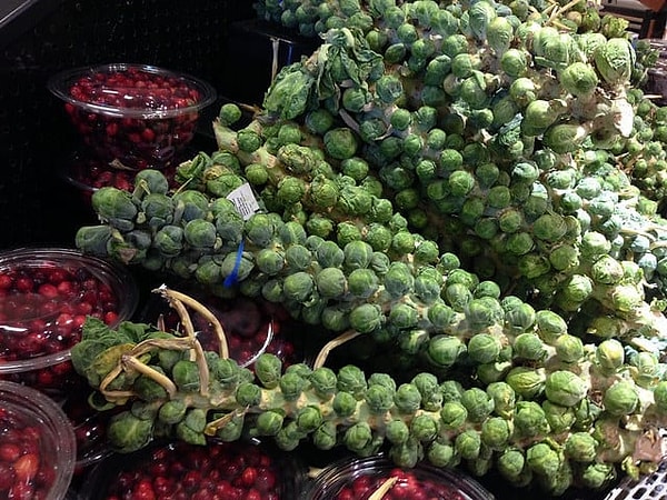 13. Кочанчики брюссельской капусты растут на стеблях.