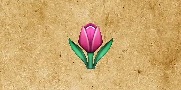 13. Эта страна покрыта тюльпанами весной!