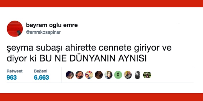 Okurken En Az Onun Kadar Hayattan Zevk Alacağınız 17 Komik Şeyma Subaşı Tweeti