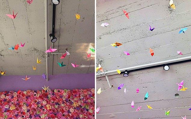 Bütün duvarlarda ve dolaplarda kullandığı pastel renkler, Hello Kitty fırını, tavandan sarkan renkli kuşlar...