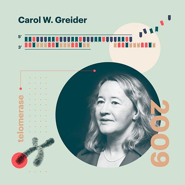 12. Telomerazı keşfeden kadın Carol Greider