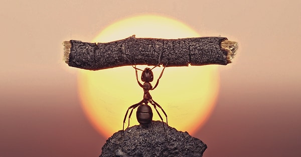 15. Держись, когда жизнь подкидывает препятствия