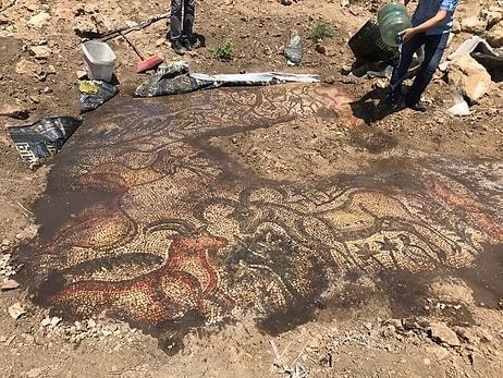 Anadolu Açıkhava Müzesi: Adıyaman'da Çiftçilik Yapan İki Kardeş Tarlada 1600 Yıllık Mozaik Buldu