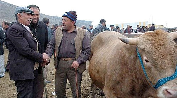 5. Пока ты торгуешься, товар не портится)))