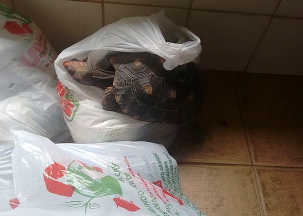 5. "Это здорово, но я немного злюсь", - говорит он