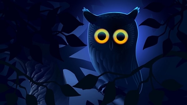 15. Вы просто обожаете ночь, и других слов не надо...