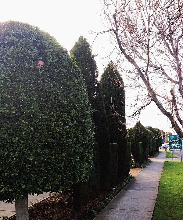 1. Что-что, а развлекаться на работе этот парень умеет!