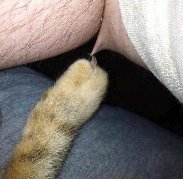 12. На это больно даже смотреть: 😵