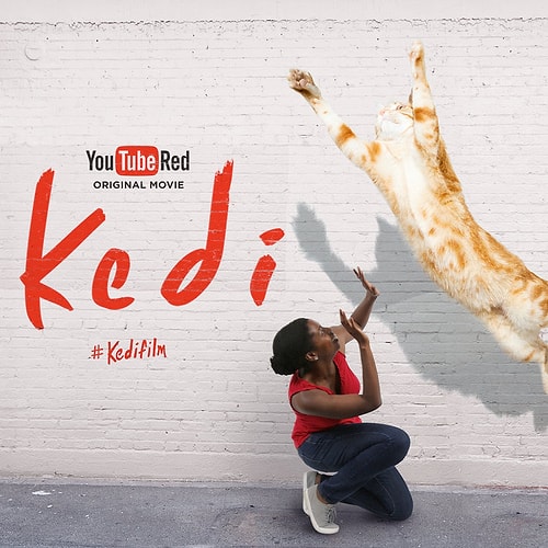 "Kedi"nin vizyona girdiği tüm şehirler, filmin afişleriyle döşeli.