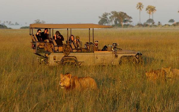 İlla hayvan görmek istiyorsanız safarilere katılarak hayvanları doğal yaşam alanlarında görebilirsiniz.