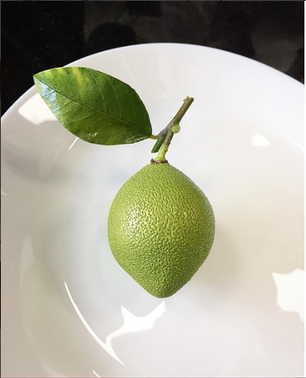 1. Пирожное в форме лайма не отличить от настоящего