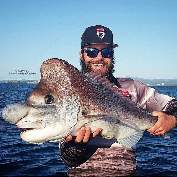 7. Что это такое? Уберите это от меня! Ааааааа!