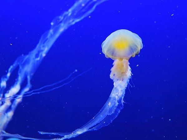 5. Выберите выражение, с которым вы согласны: