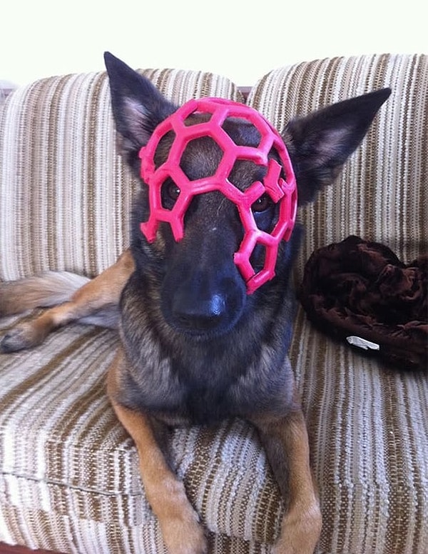 18. «Она разгрызла свою любимую игрушку и превратилась в суперзлодея»