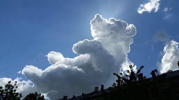 16. Облако "Винни-Пух"