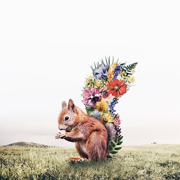 12. Белка + букет 💐