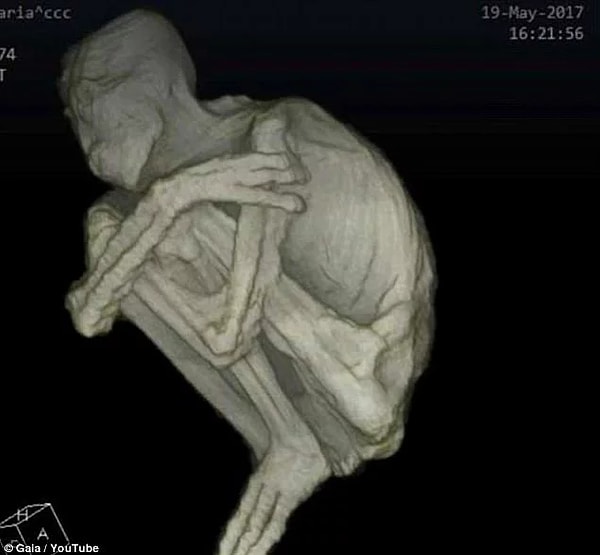 9. В таких случаях важно не допустить ошибку, поддавшись сомнению и любопытству. Впереди нас ждет еще множество открытий касательно прошлого человечества...