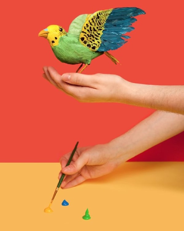 14. В Мичигане нелегально раскрашивать воробьев с целью их последующей продажи как попугаев