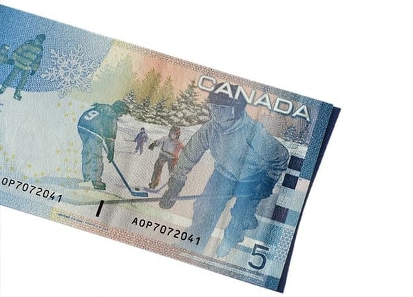 Показать правильный ответ