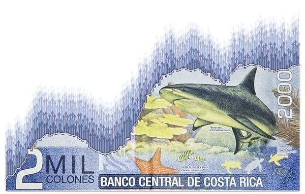 Показать правильный ответ