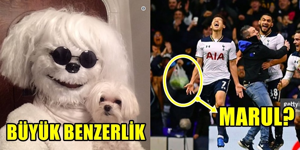 Gülmek İstememenize Rağmen Kendinizi Tutamayıp Kahkahalara Boğulacağınız 24 Fotoğraf