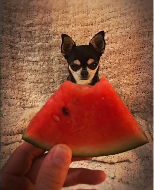 18. Кажется, кое-кому новый тренд не по нраву