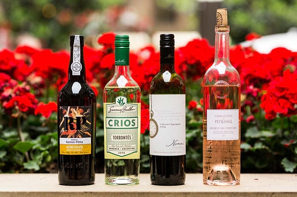 1. Название вина происходит либо от названия сорта винограда, из которого оно сделано, либо от названия местности, из которой вино происходит.