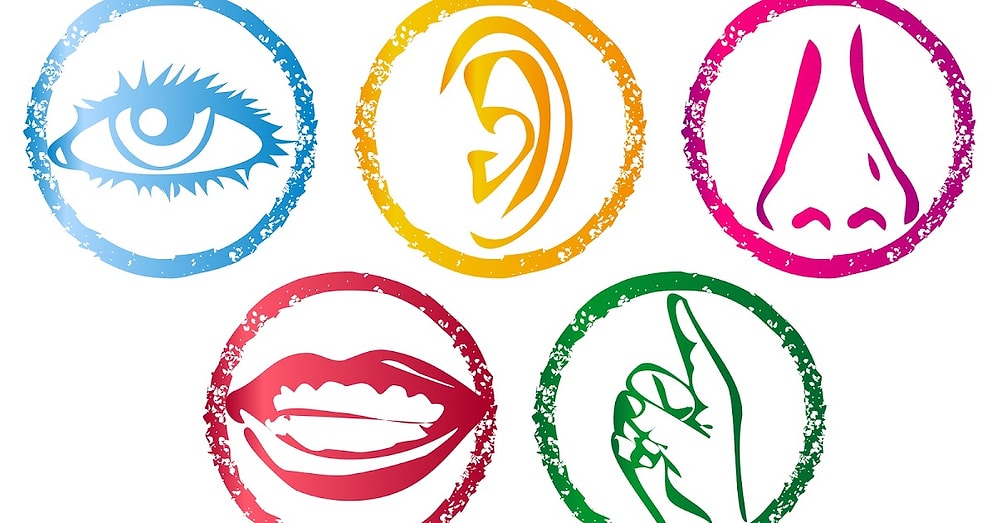 Тест: Какое из пяти чувств у вас развито лучше?