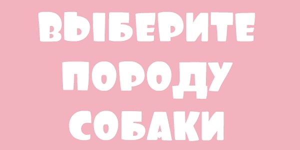 5. Пятыйпошёл: