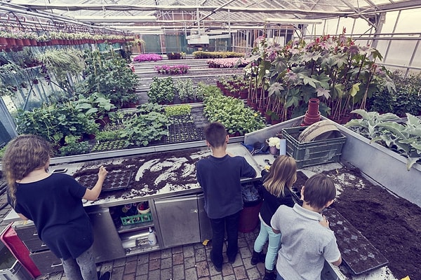 22. В школе работают 150 учителей. А на одном уроке присутствует не более 10 учеников. Но это не просто занятия теорией в классе. Вот, например, ученики изучают садоводство.