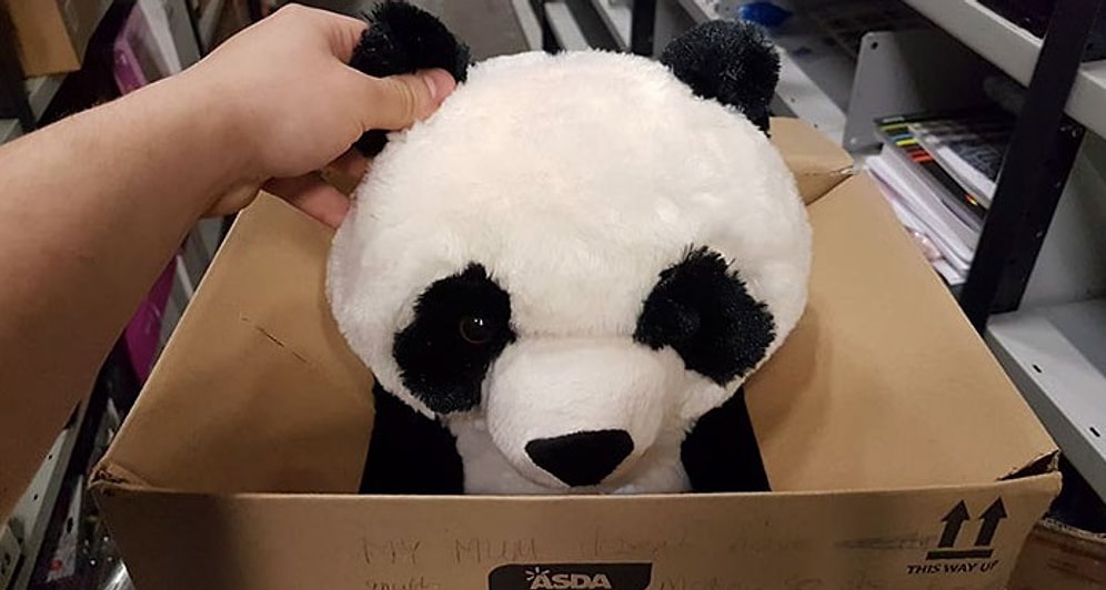 Мама не смогла купить сыну игрушку-панду, и он оставил на коробке трогательную записку 😭