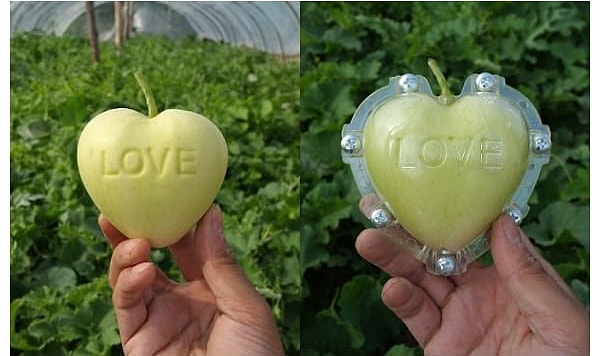 1. То самое яблоко в форме сердечка с надписью "Любовь"